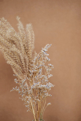 Unlocking the Power of Crystals: A Guide to Choosing the Right One for Your Spiritual Journey